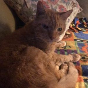 Meet your Posher, Eddie